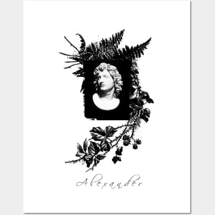 Alexander the Great Posters and Art